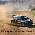 Rally de Portugal 2018  (292).JPG